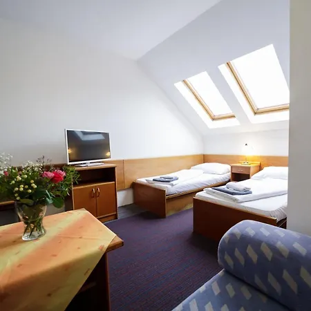 Peliny ホテル Chocen